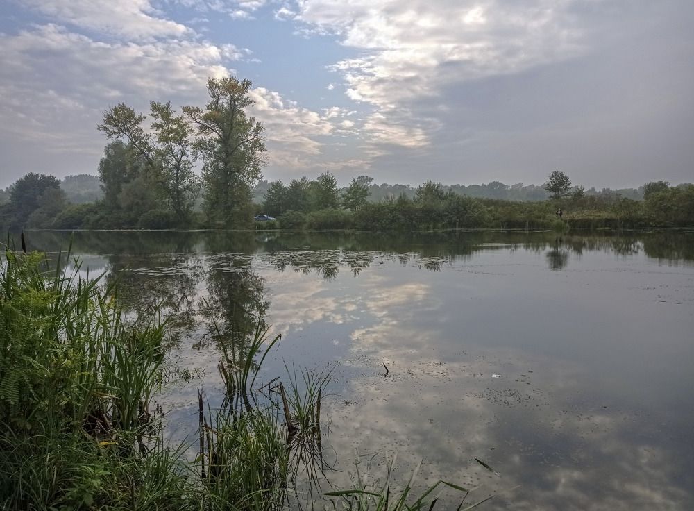 Фотография автора Панасюк Елена