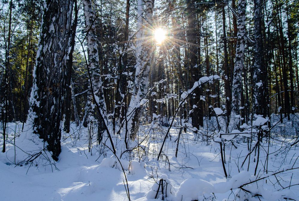 Photograph by Сергей Горбунов