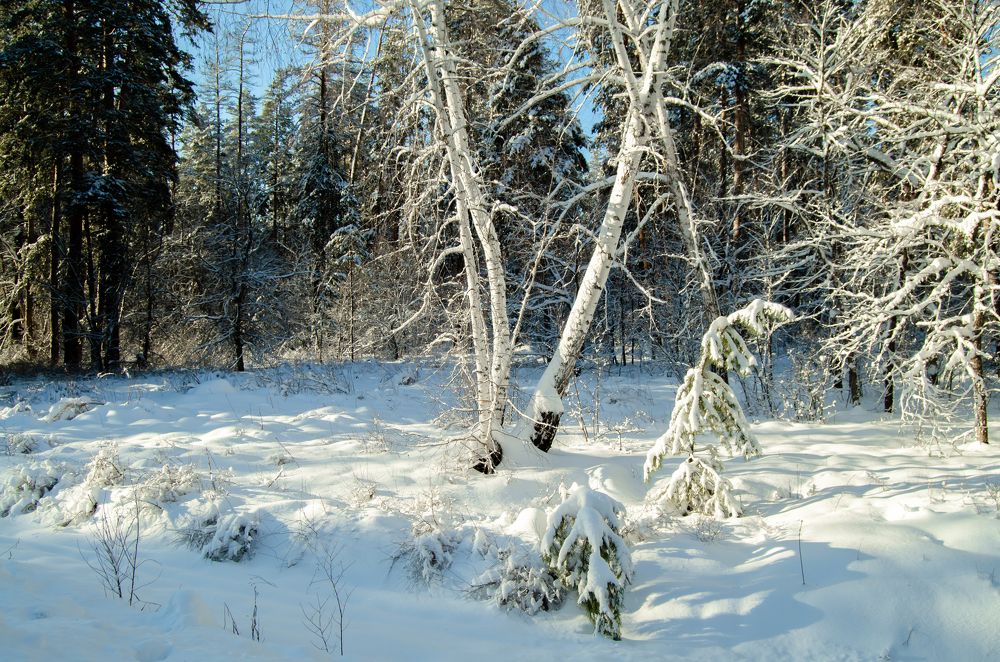 Photograph by Сергей Горбунов