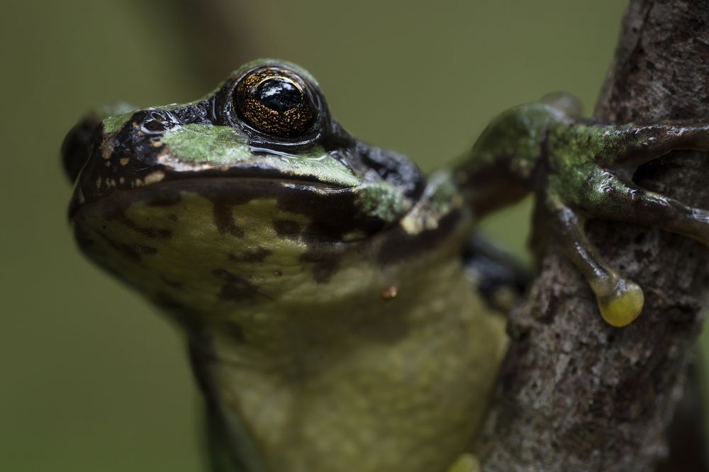 Фотография автора Tamara Maria Blazquez Haik