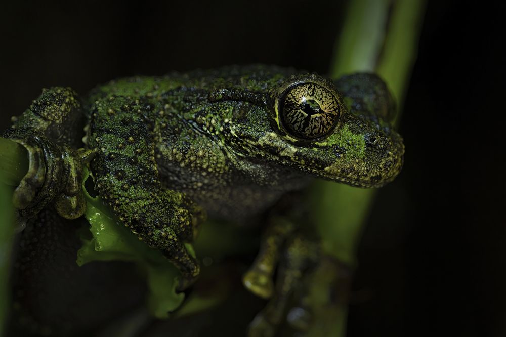 Фотография автора Tamara Maria Blazquez Haik