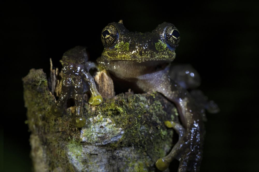 Фотография автора Tamara Maria Blazquez Haik