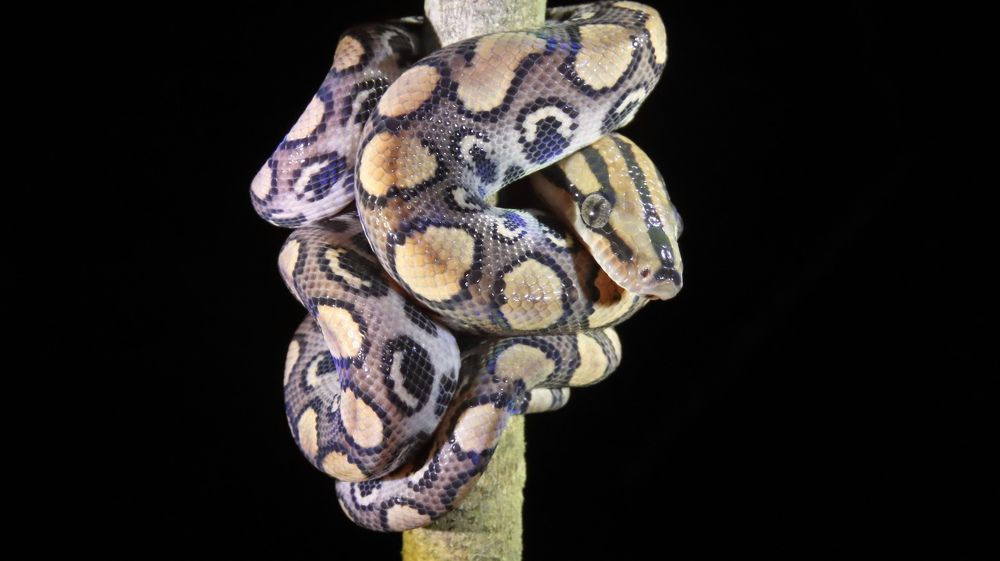 Photo #8716031
