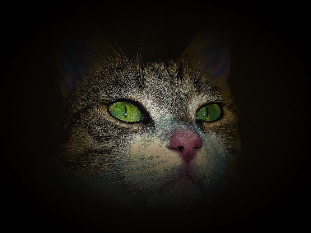 Photograph by Яна Галимуллина