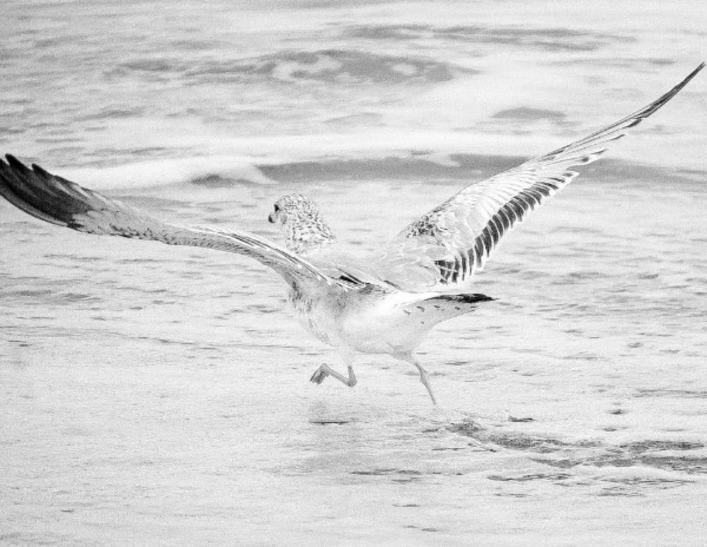 Photograph by Ethan Williams