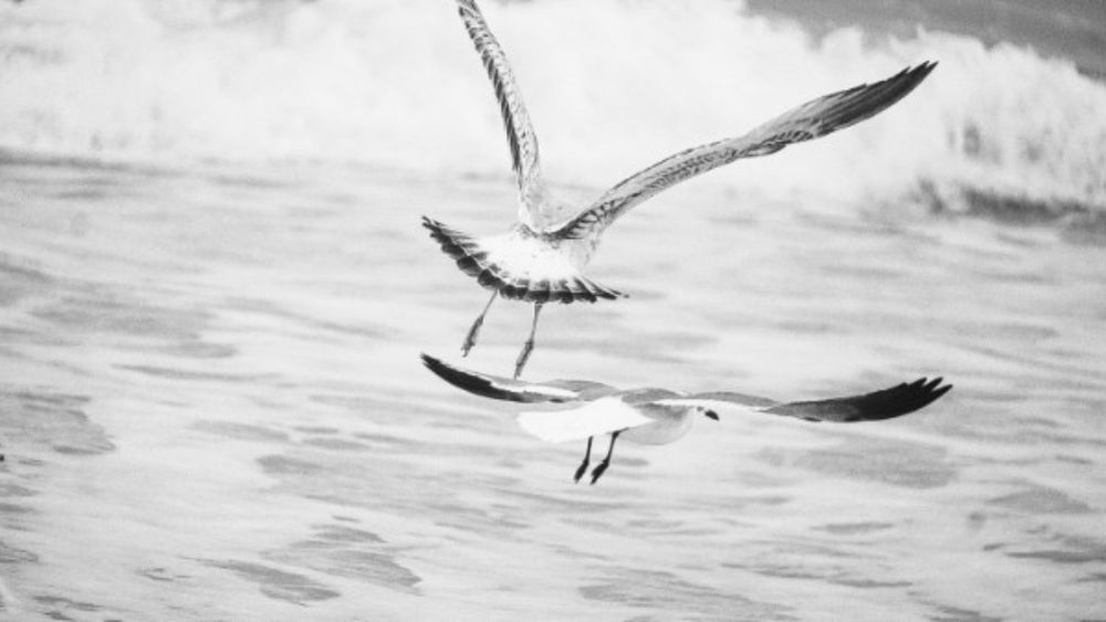 Photograph by Ethan Williams