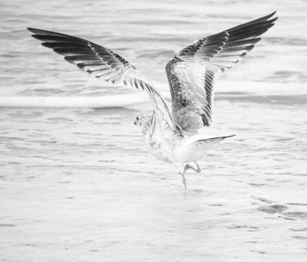 Photograph by Ethan Williams