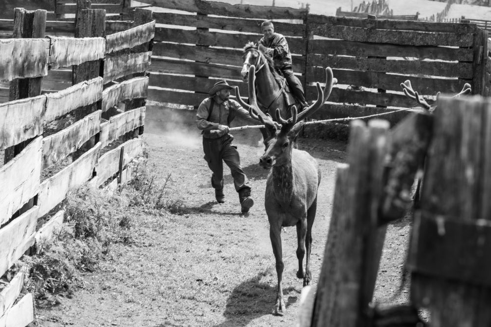 Photograph by Людмила Аксенова