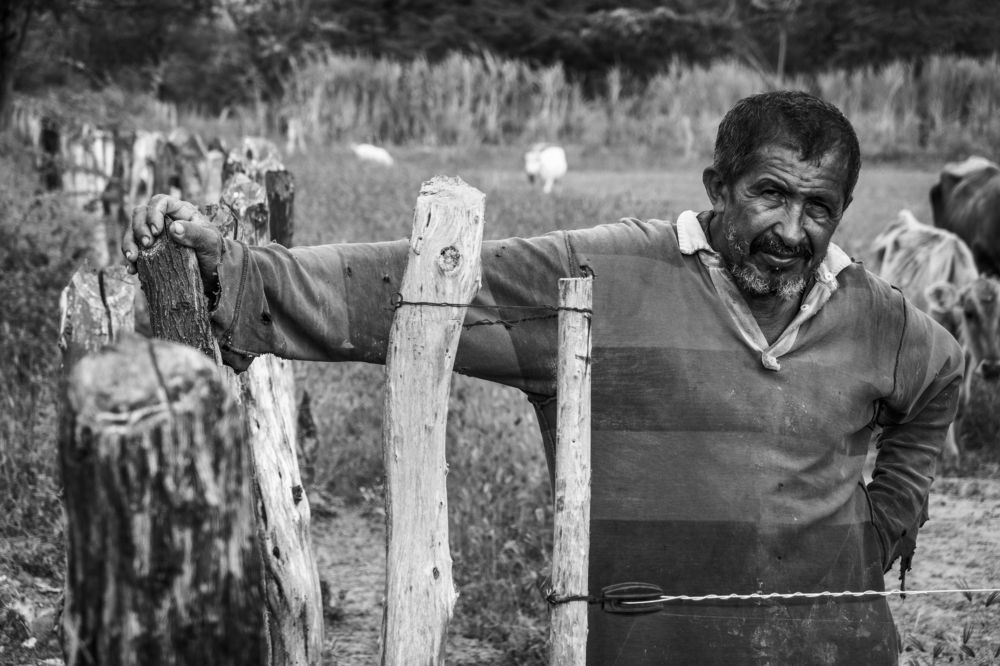 Photograph by JUAN SILVA