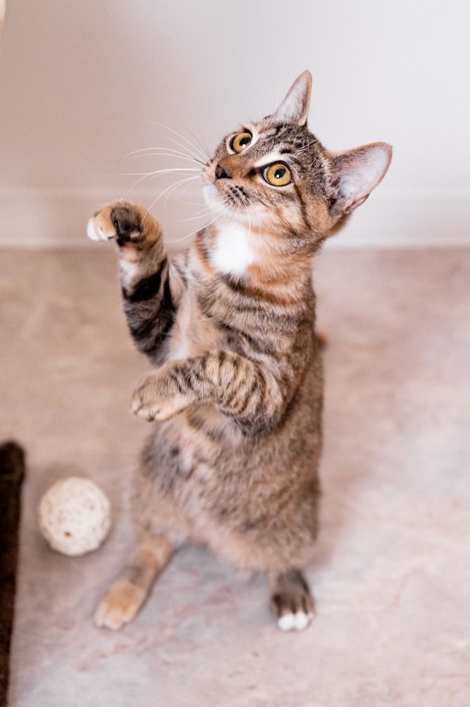 Photograph by Nesterova Svitlana