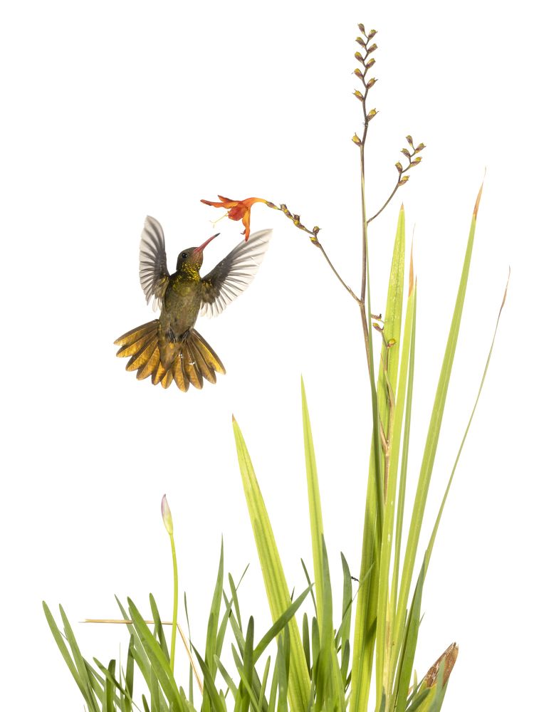 Photograph by Esteban Argerich