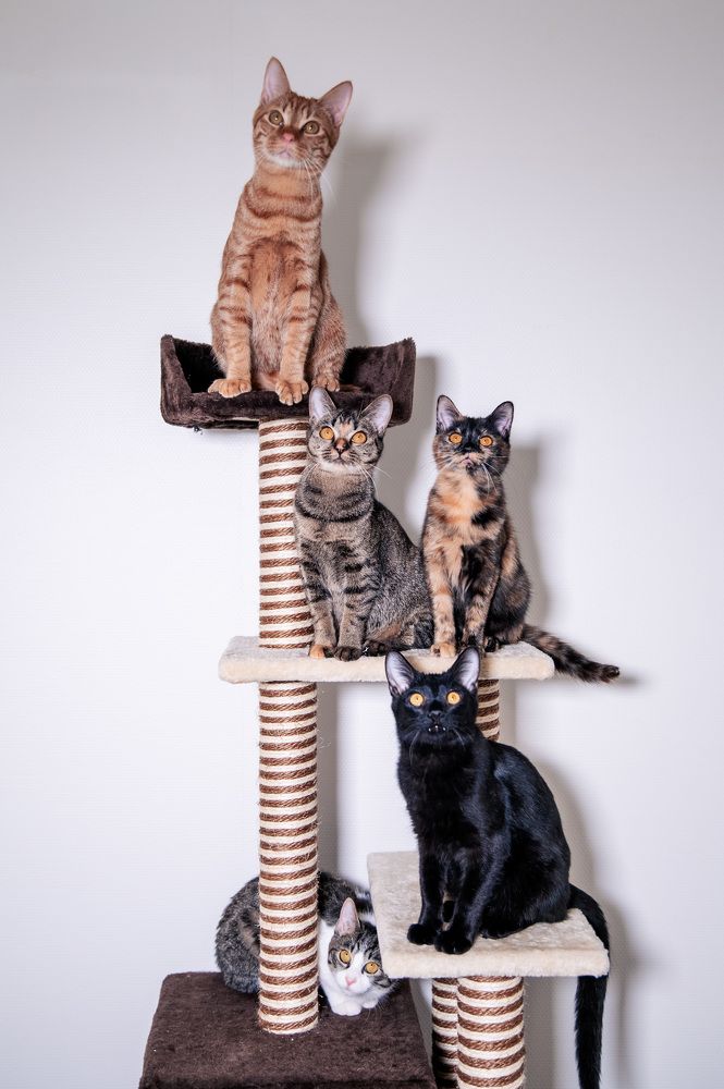 Photograph by Nesterova Svitlana