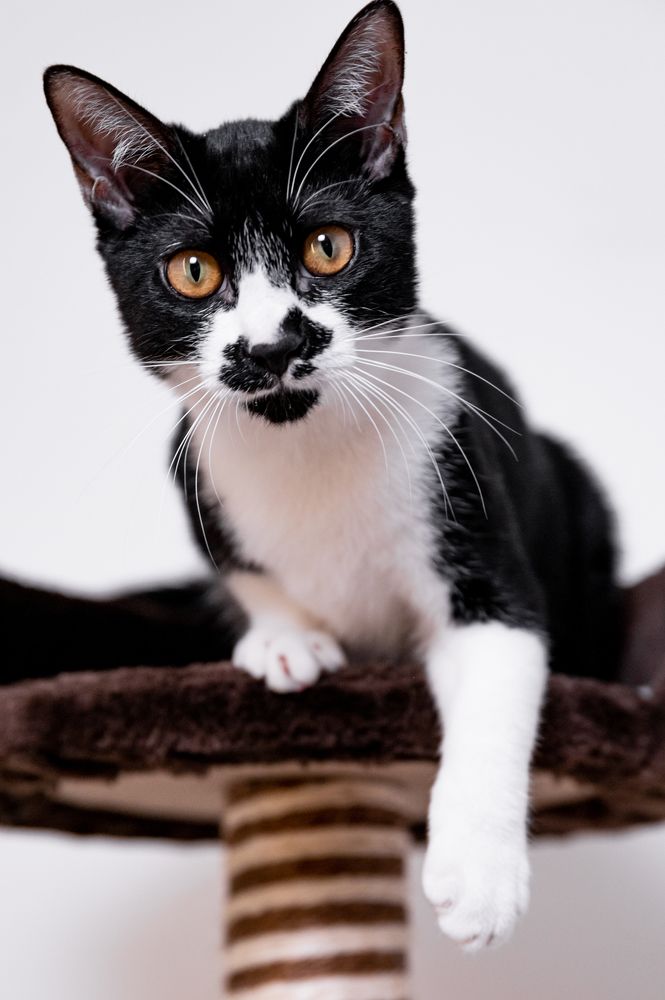 Photograph by Nesterova Svitlana