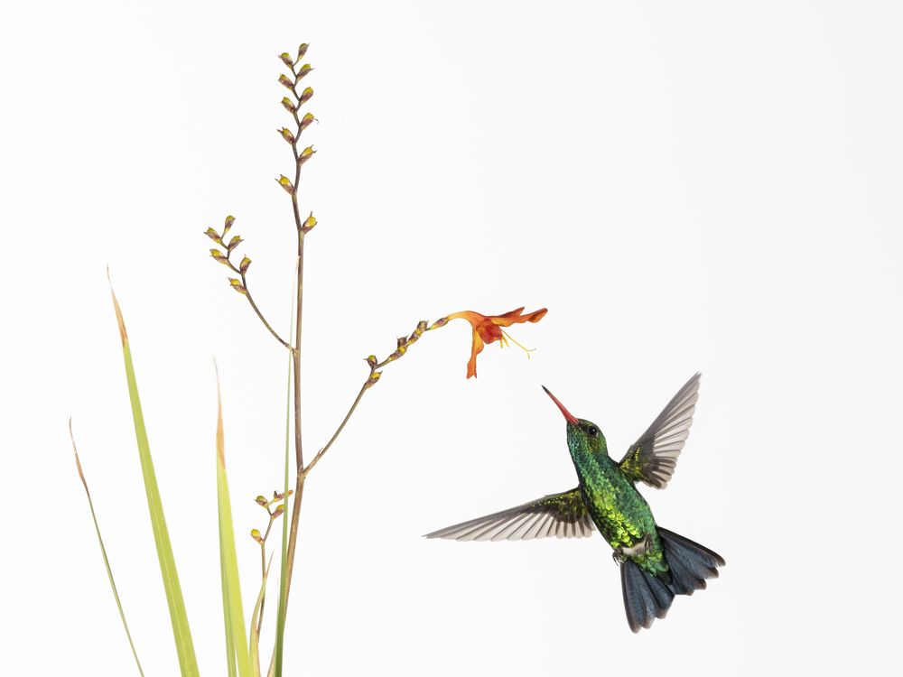 Photograph by Esteban Argerich