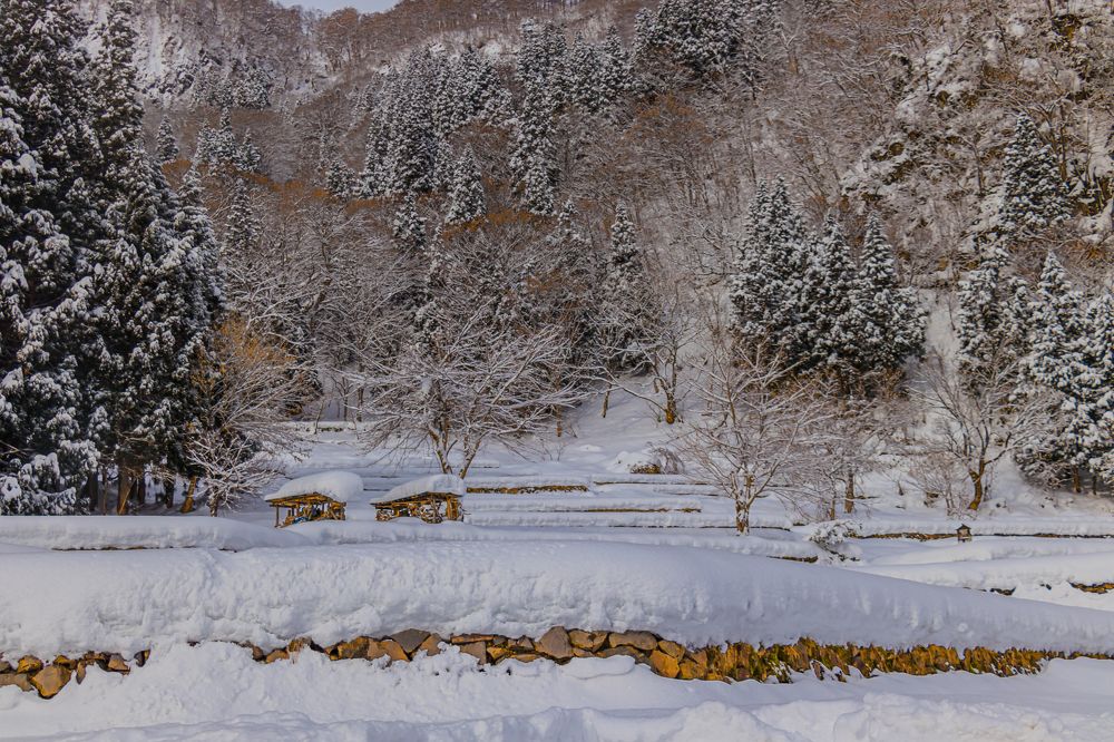 The Color under snow