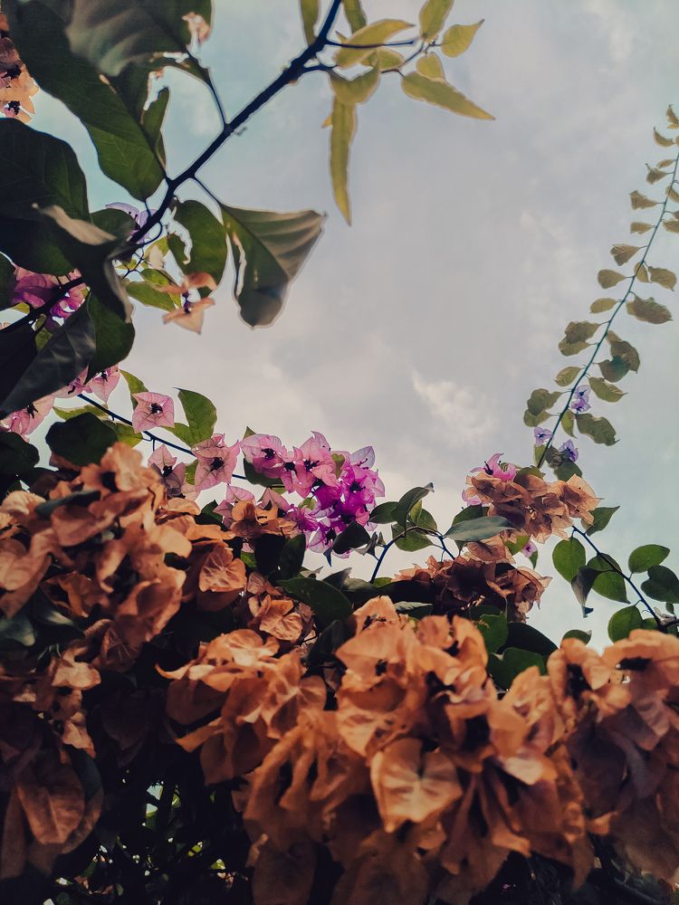 Photograph by Nishant Das