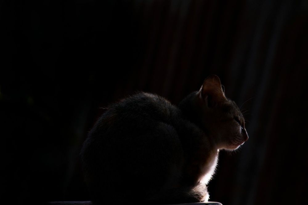 Photograph by Pheap Sophinh