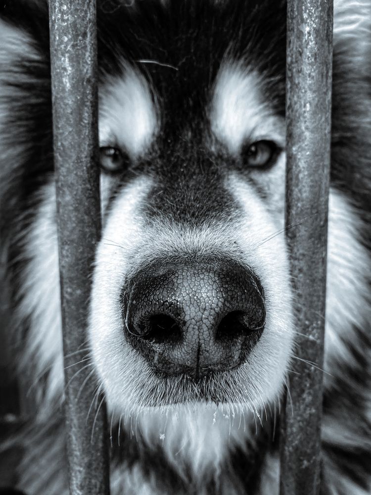 Photograph by Наталья Перерва