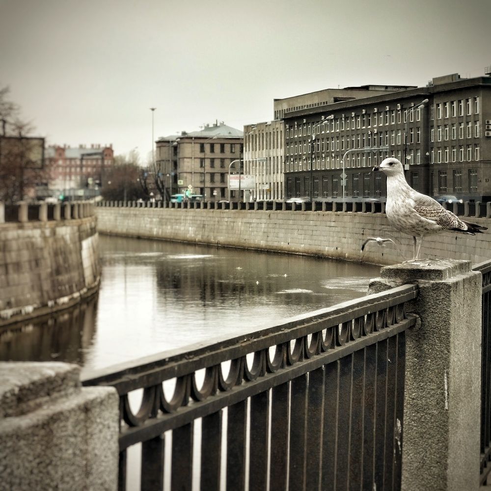 Photograph by мария Жигалова