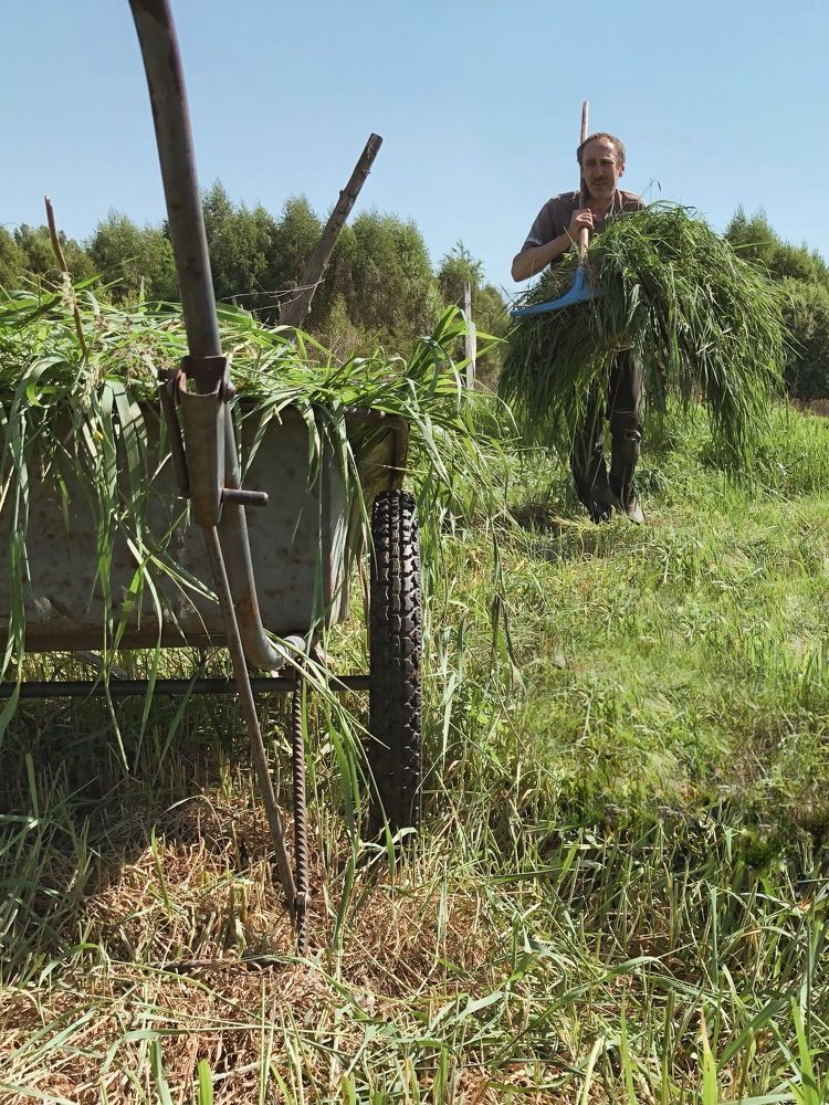 Photograph by Nadezhda Iljina