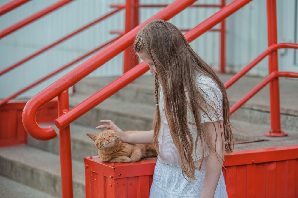 Всегда есть минута, чтобы остановиться и погладить котика