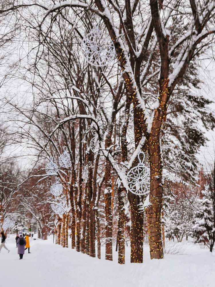 Photograph by Ксения Евгеньевна Коржнева
