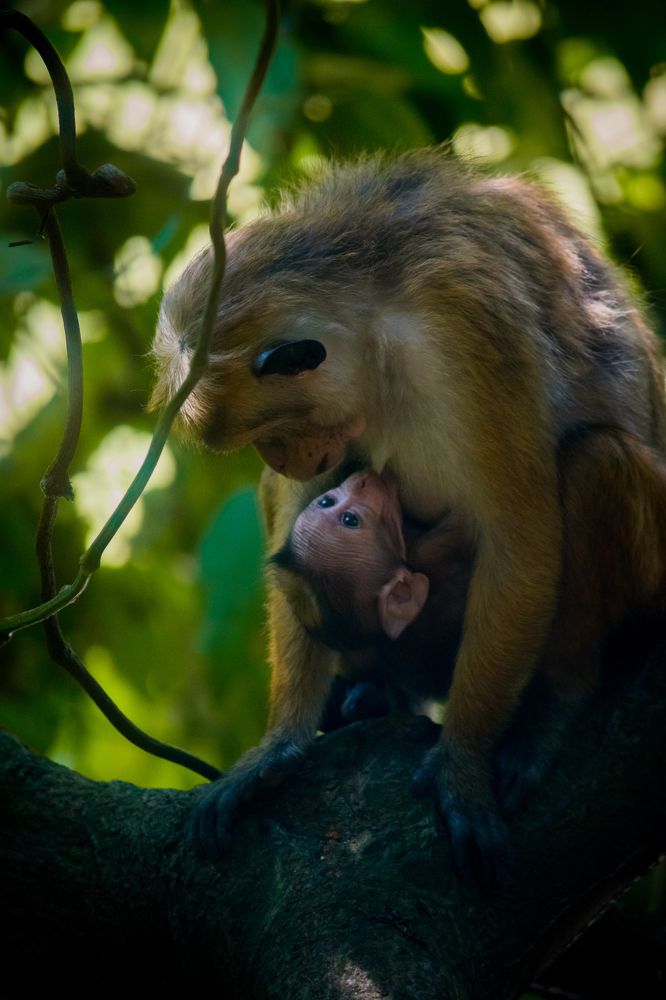 Moms Love, the eyes tell it all