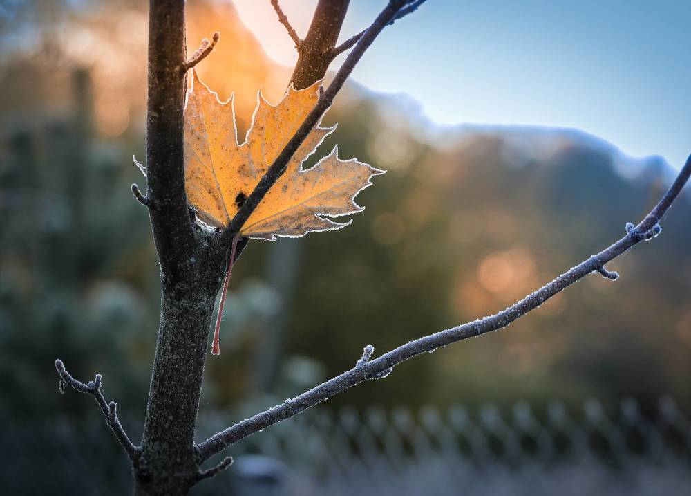 Осенние зарисовки