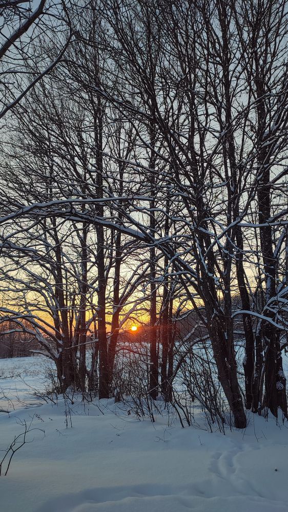 Photograph by Ирина Львова