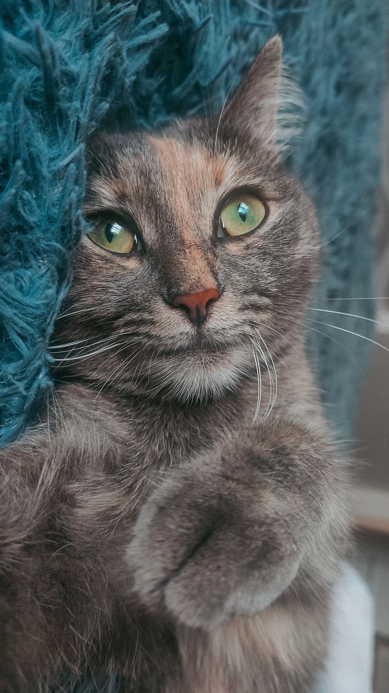 Photograph by Ирина Львова