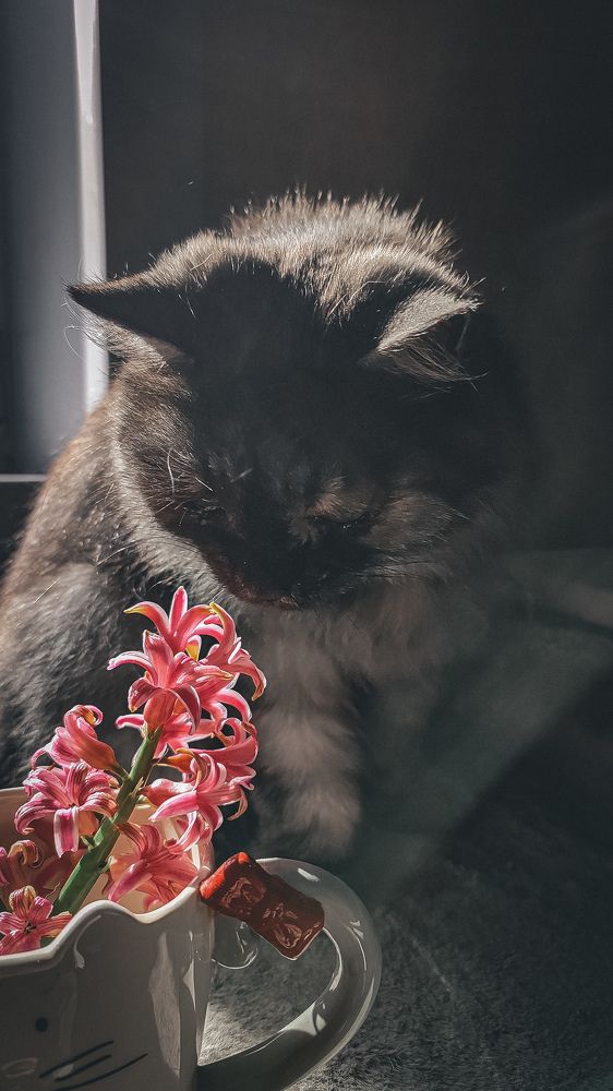 Photograph by Ирина Львова