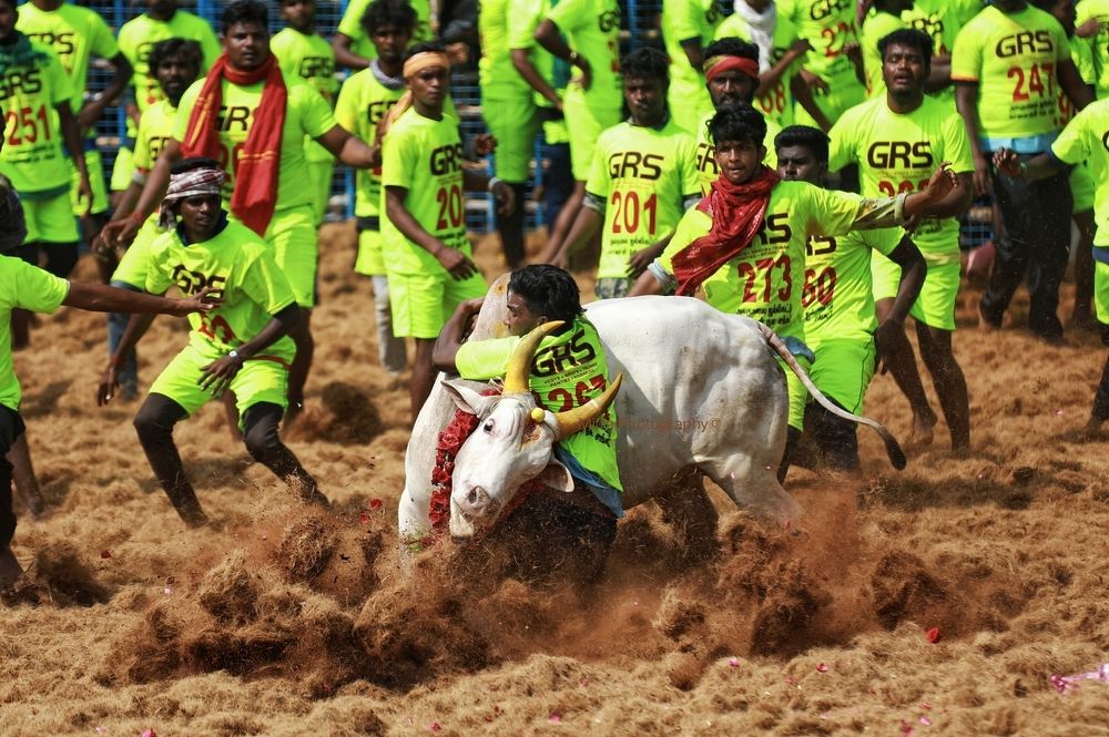 Photograph by Mitra.C.P