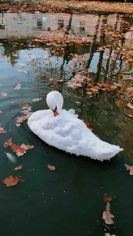 Photograph by Ирина Львова