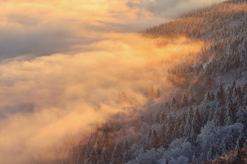 Фотография автора Michaela Vinterova