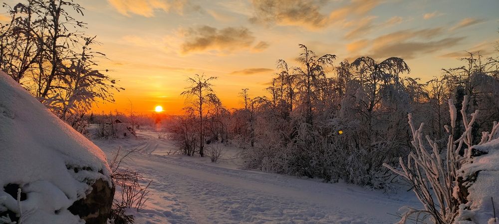 Photograph by Юлия Шабалина