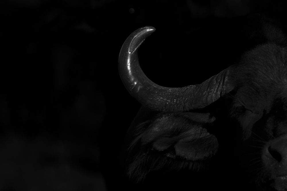 Photograph by Moses Maponya