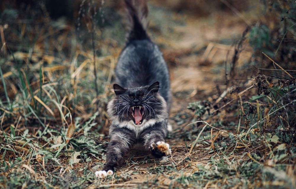 Photograph by Ольга Гаврилова