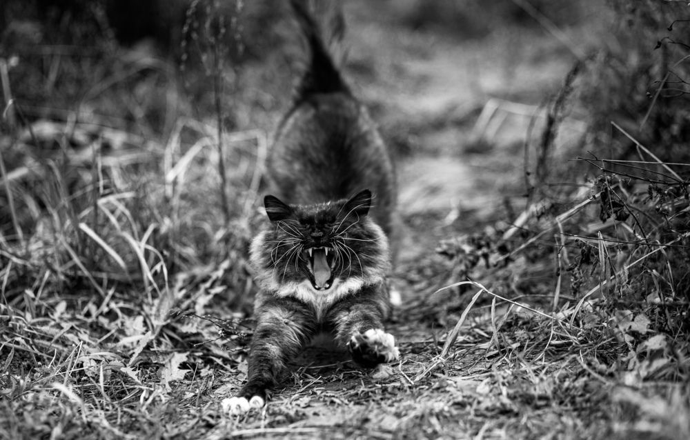 Photograph by Ольга Гаврилова