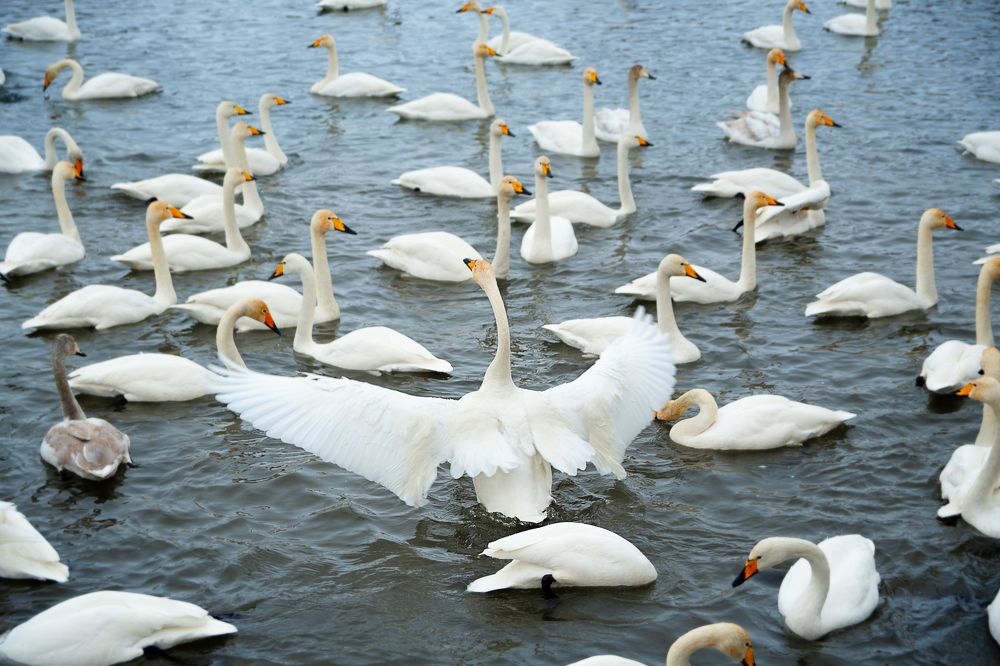 Photograph by Сергей