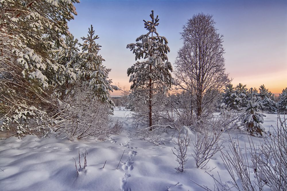 Photograph by Юрий Митенёв