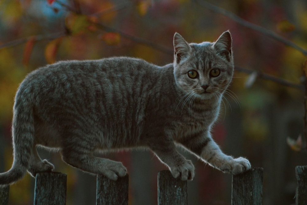 Photograph by Артём Зелюкин