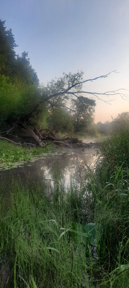 Photograph by Юлия Шабалина