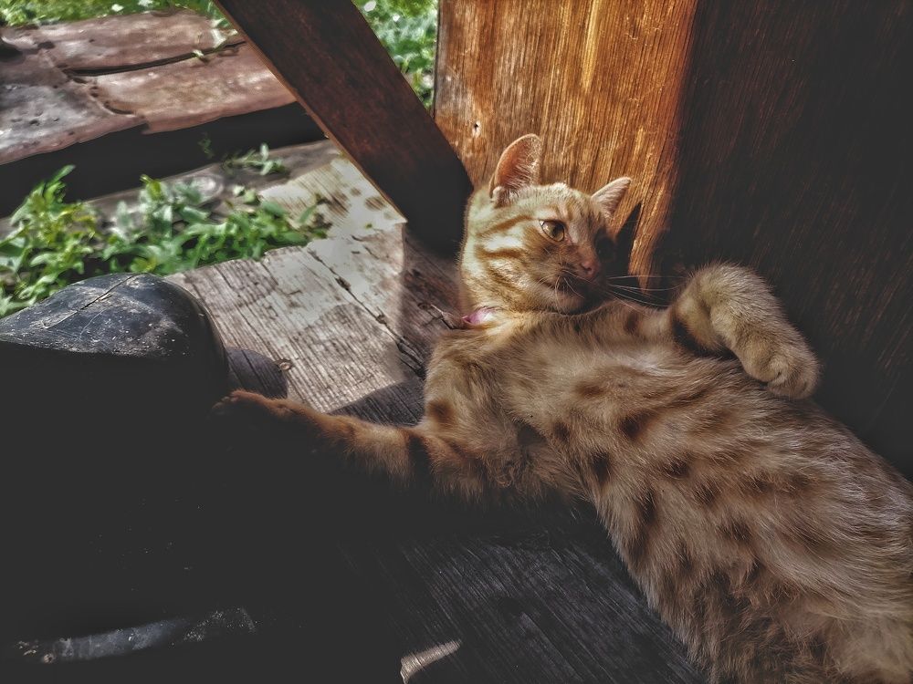 Photograph by Наталья Веряскина