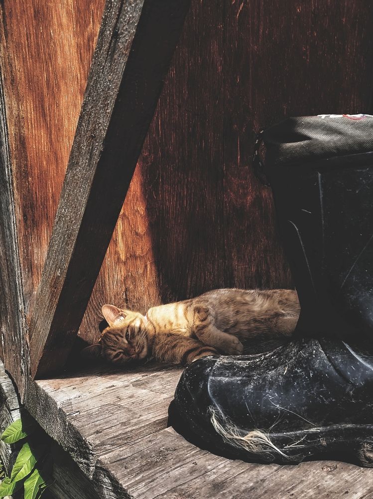 Photograph by Наталья Веряскина