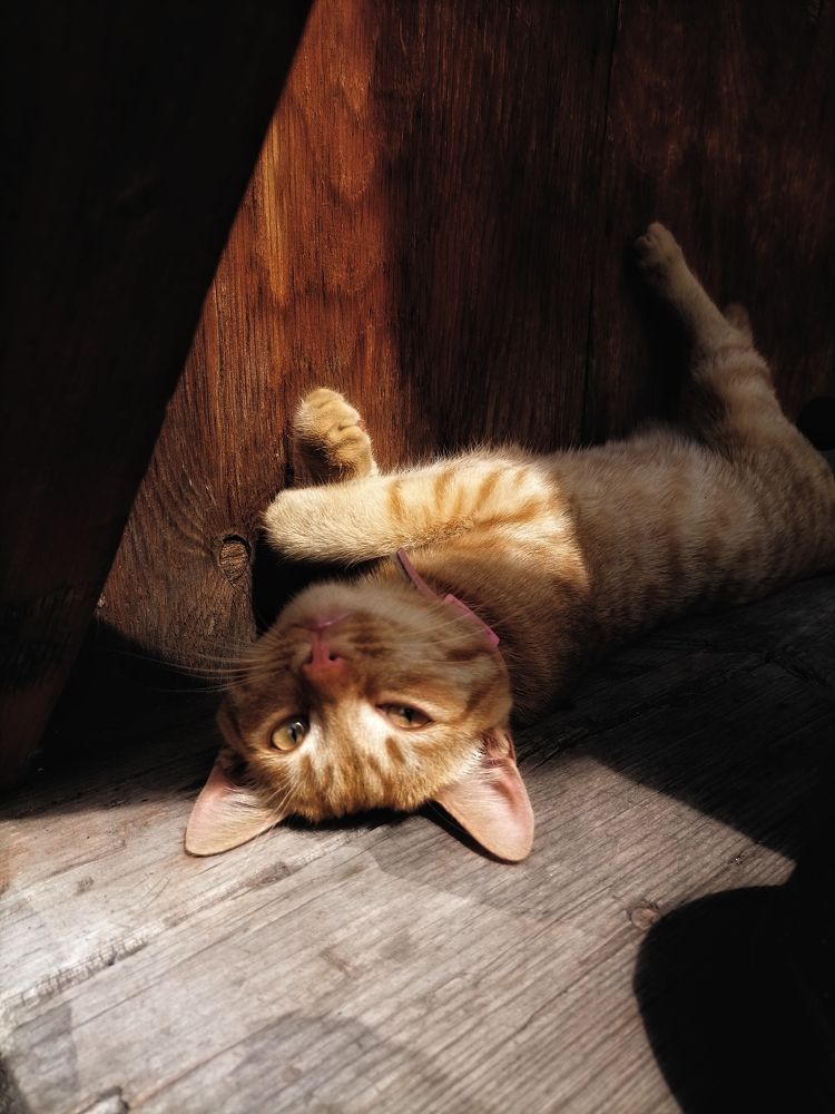 Photograph by Наталья Веряскина