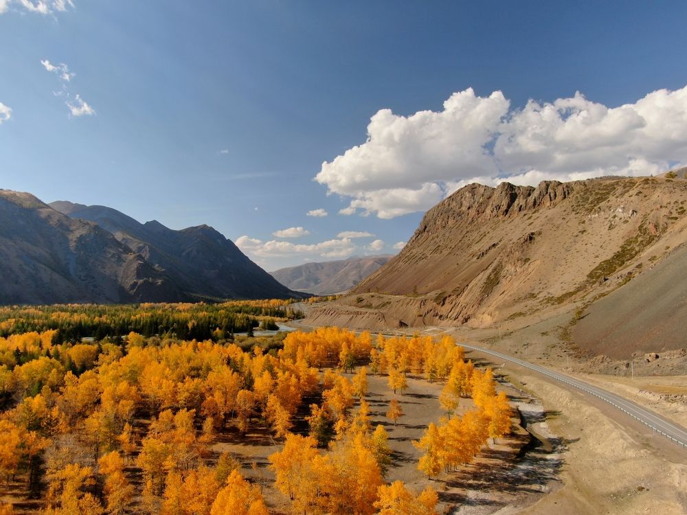 Photograph by Александр Мальцев