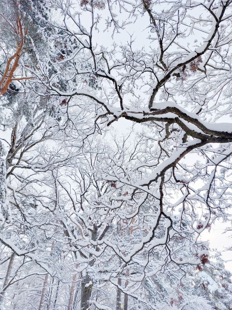 Photograph by Татьяна Олефиренко