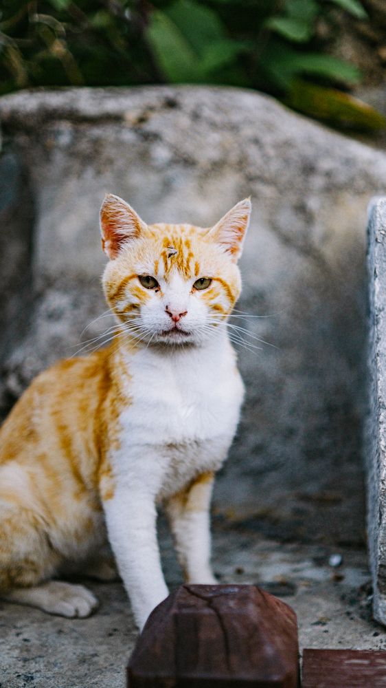 Photograph by Александр Мальцев