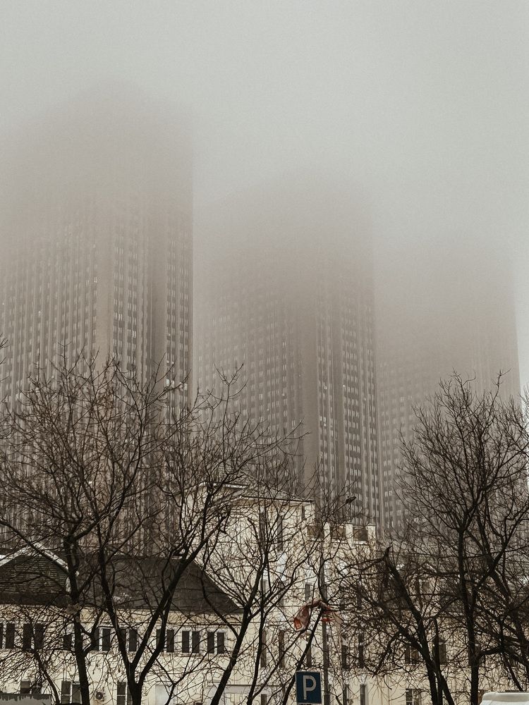 Photo #8716956