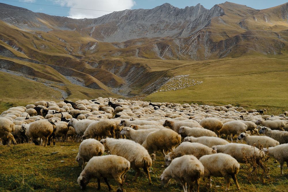 Photograph by Сячин Саша